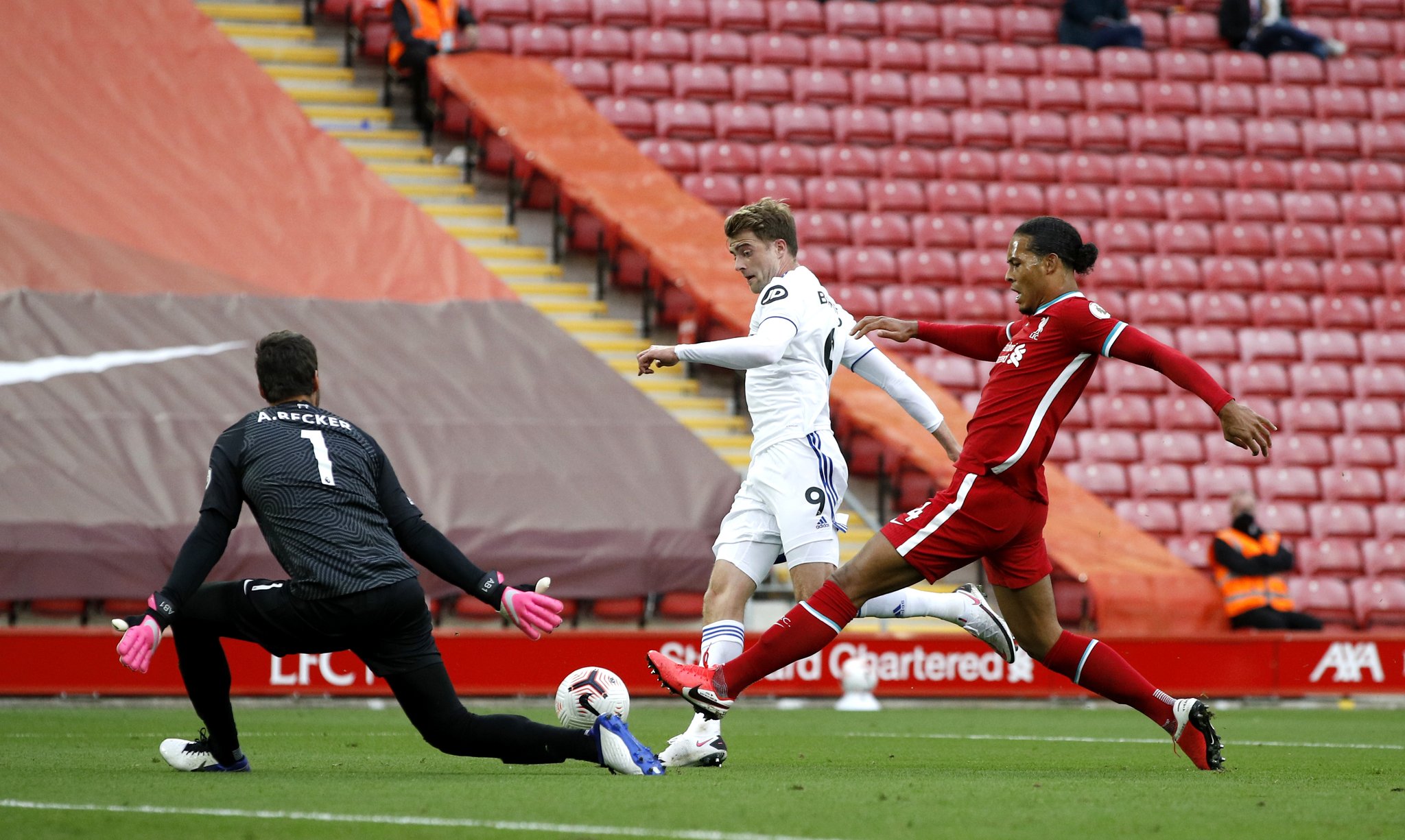 适应多样化 适应多样化